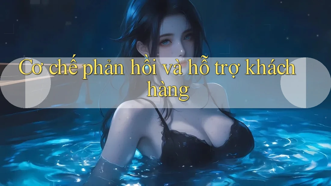 Cơ chế phản hồi và hỗ trợ khách hàng Cơ chế phản hồi và hỗ trợ khách hàng