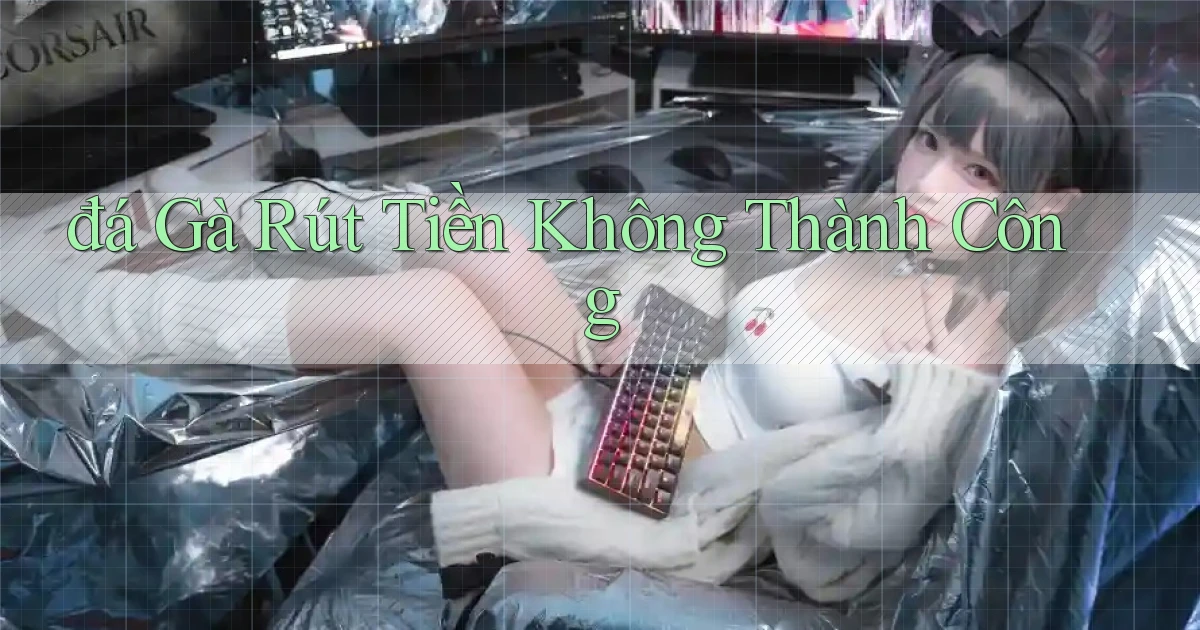 đá gà Rút tiền không thành công
