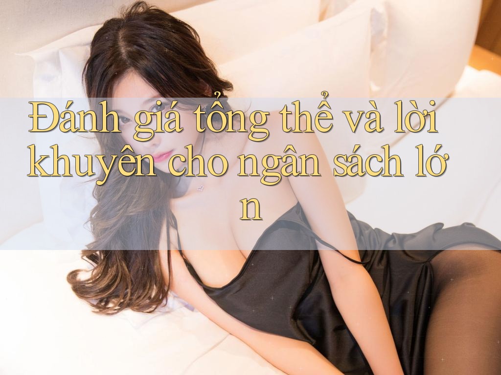 Đánh giá tổng thể và lời khuyên cho ngân sách lớn Đánh giá tổng thể và lời khuyên cho ngân sách lớn